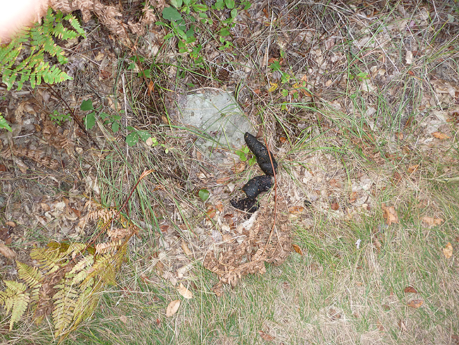 This was not there on the walk down.JPG